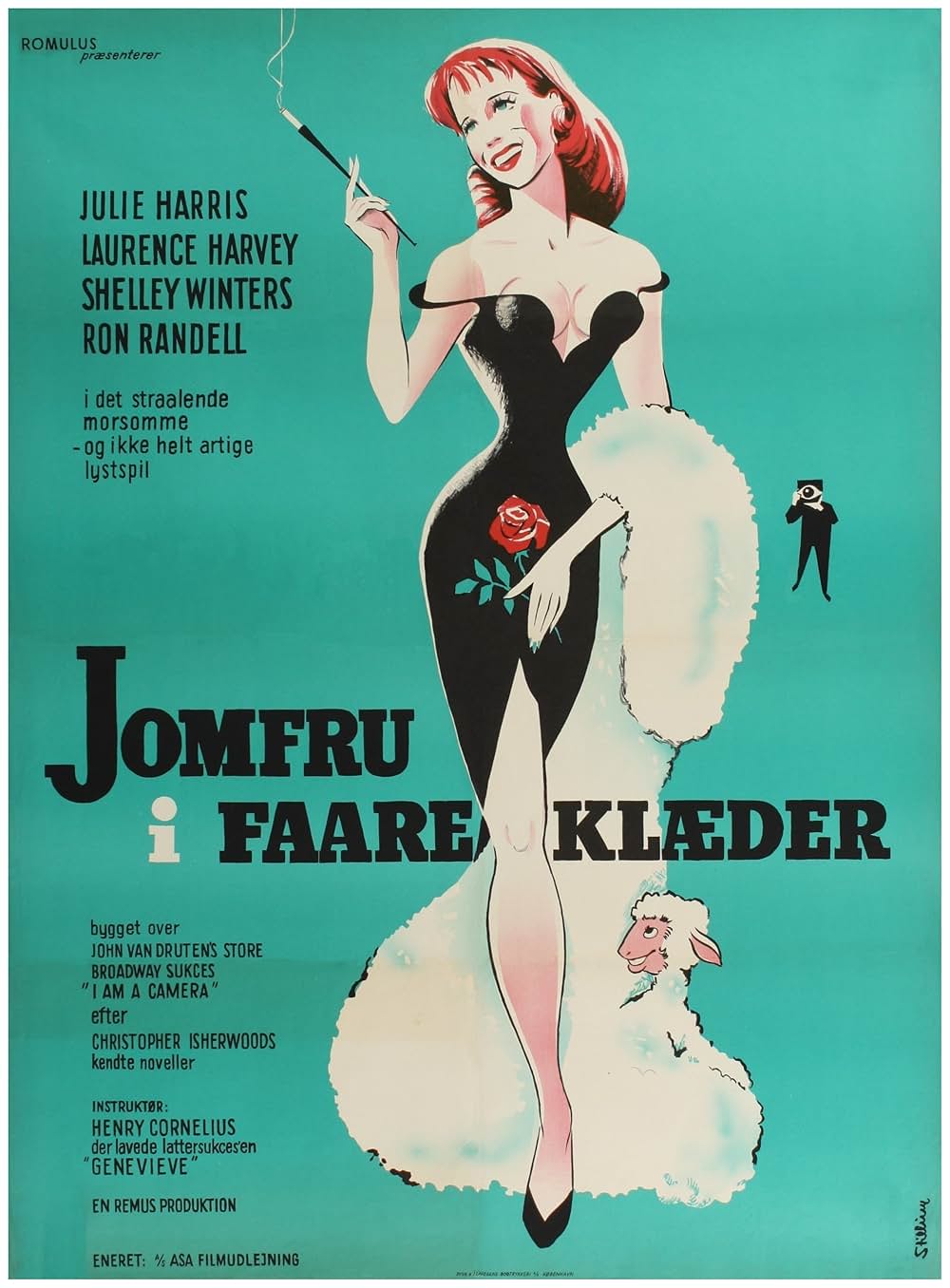 嵐の中の青春の画像