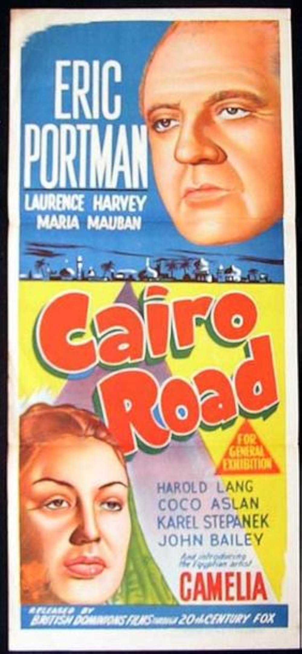 熱砂の掟の画像