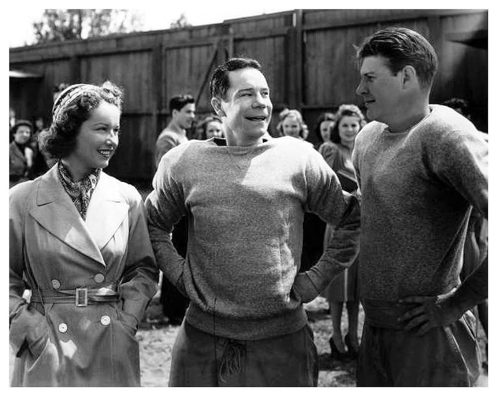 豪傑ブラウンの画像