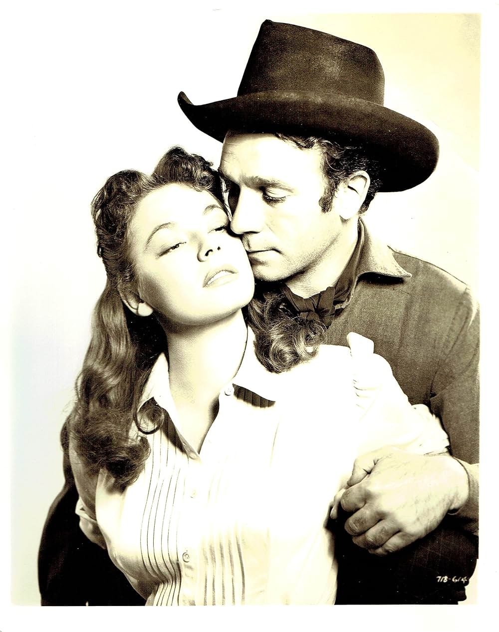 西部のバリケードの画像