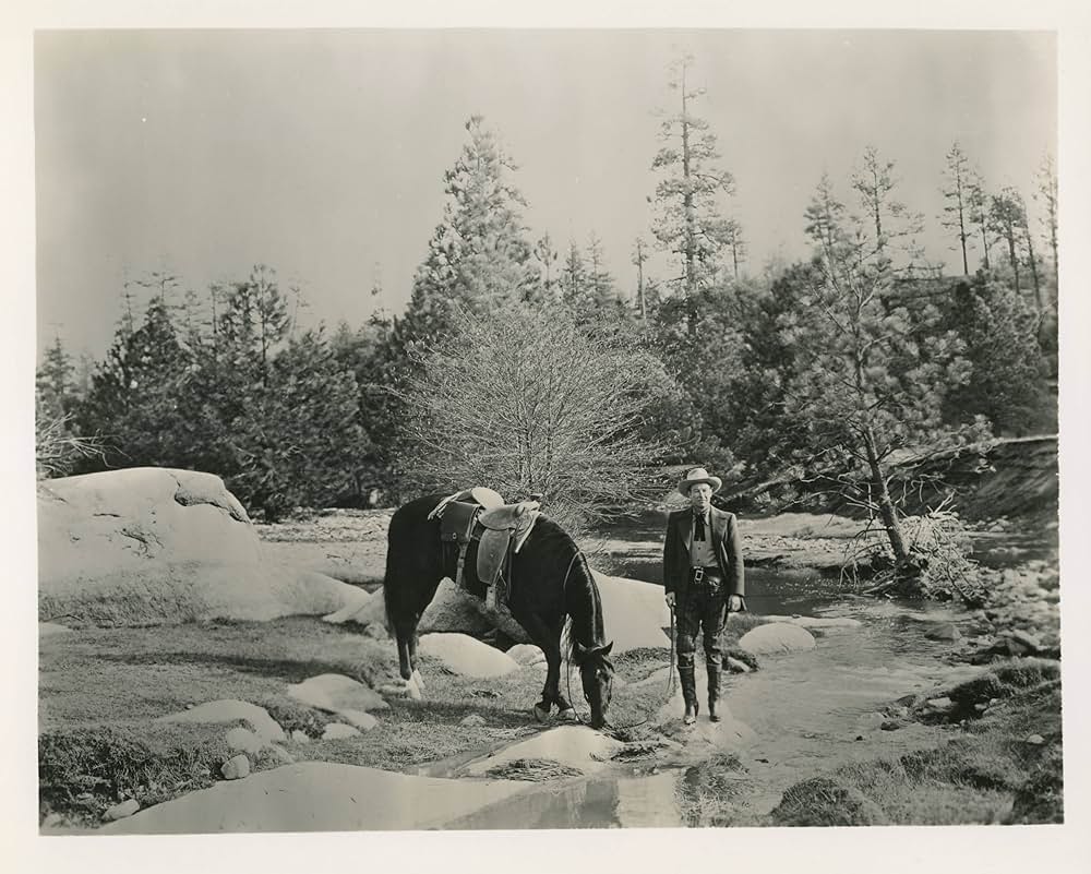 西部の覆面男の画像