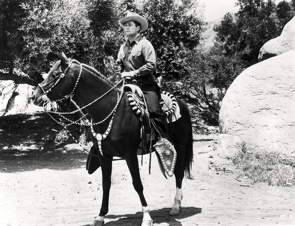 西部挺身隊の画像