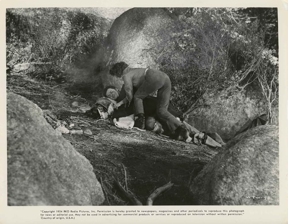 怒りの刃の画像