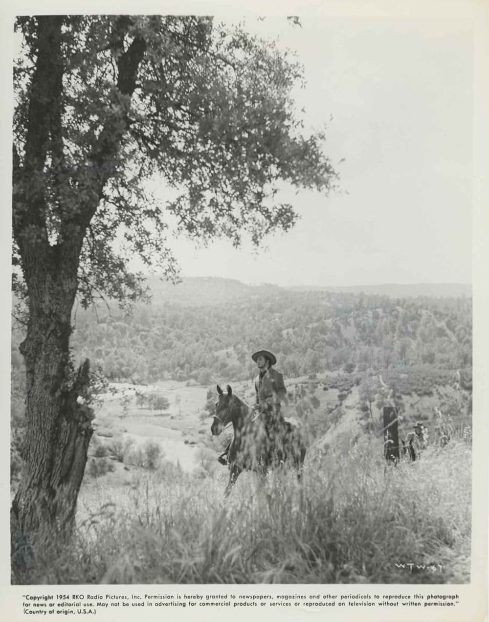 怒りの刃の画像