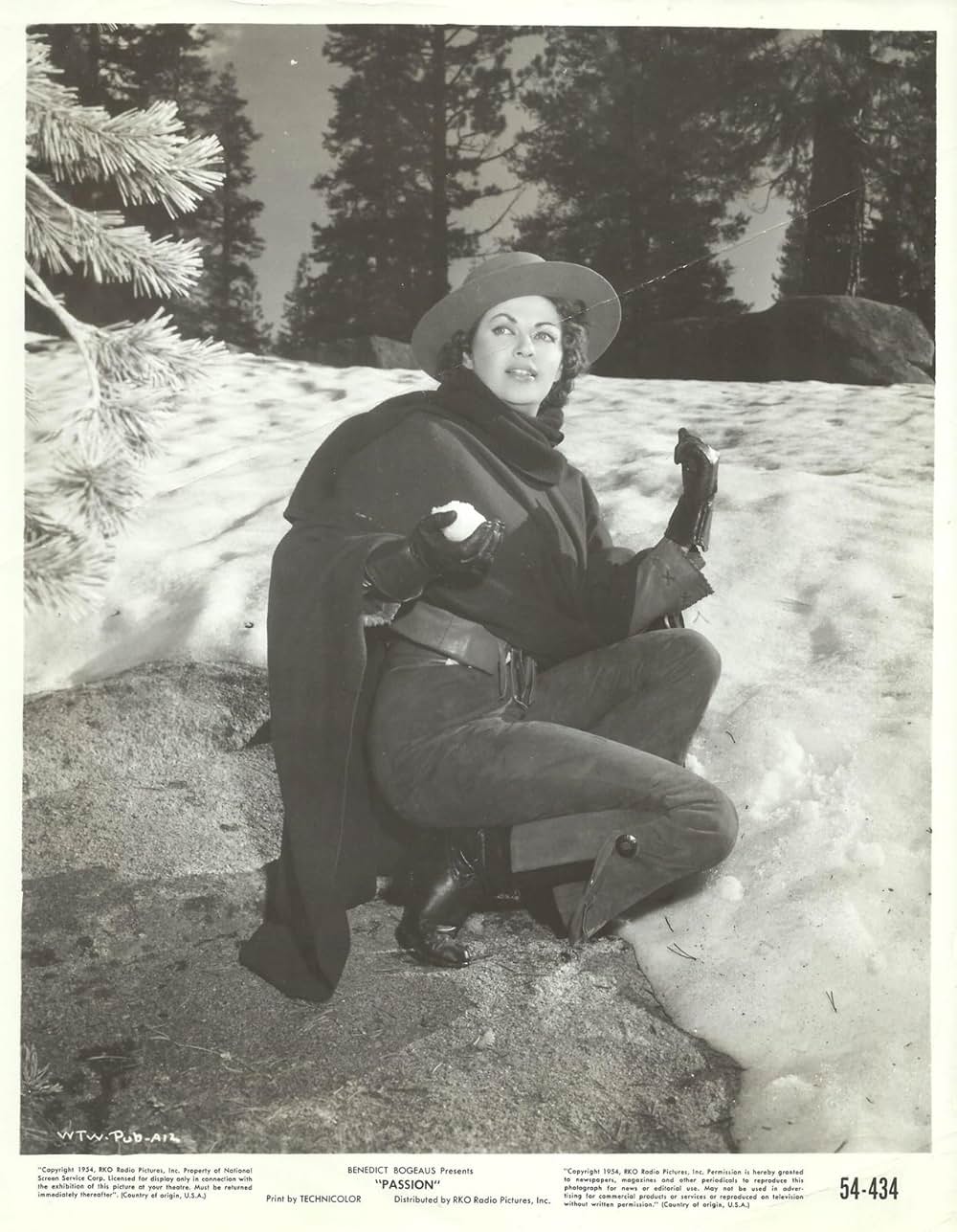 怒りの刃の画像