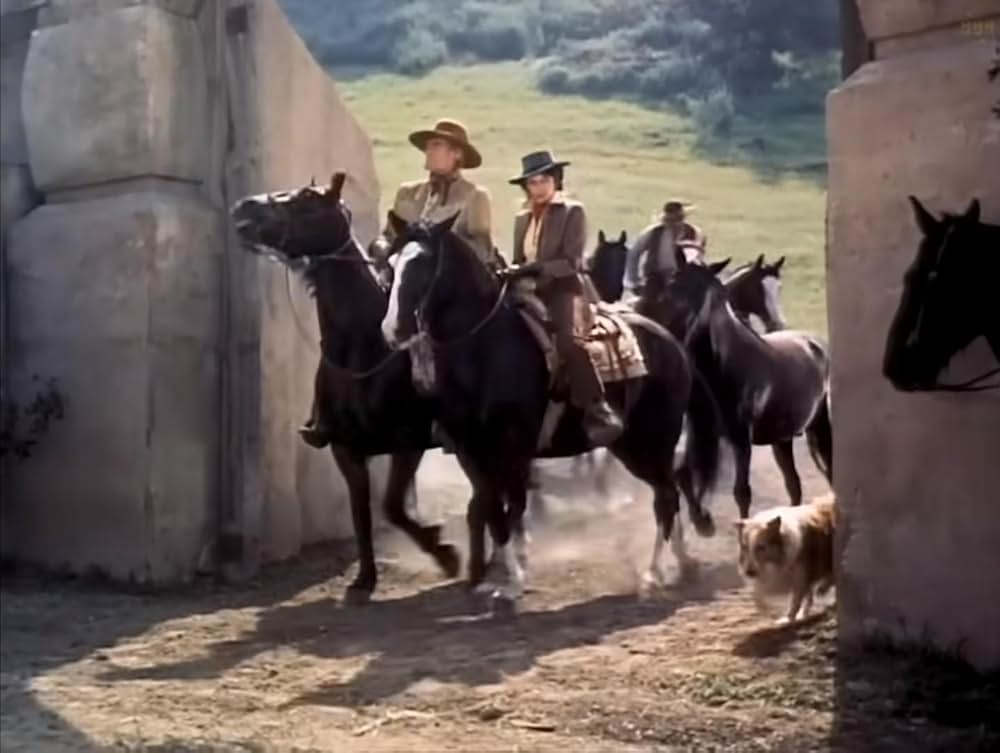 怒りの刃の画像