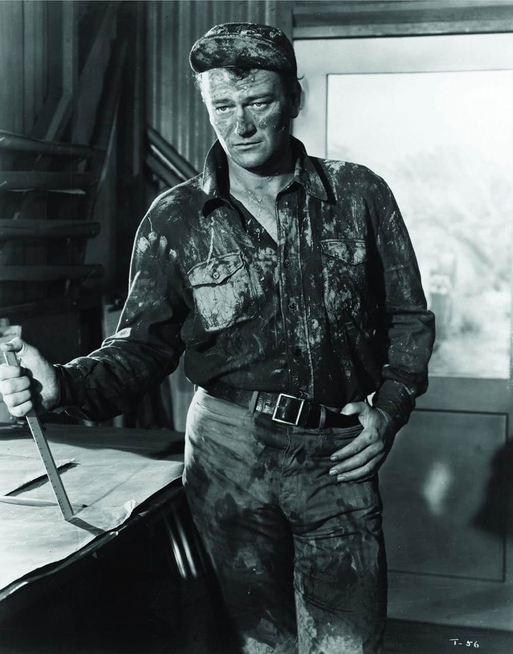 タイクーンの画像