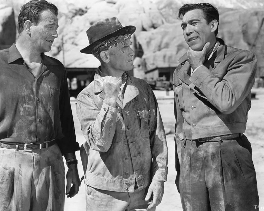 タイクーンの画像