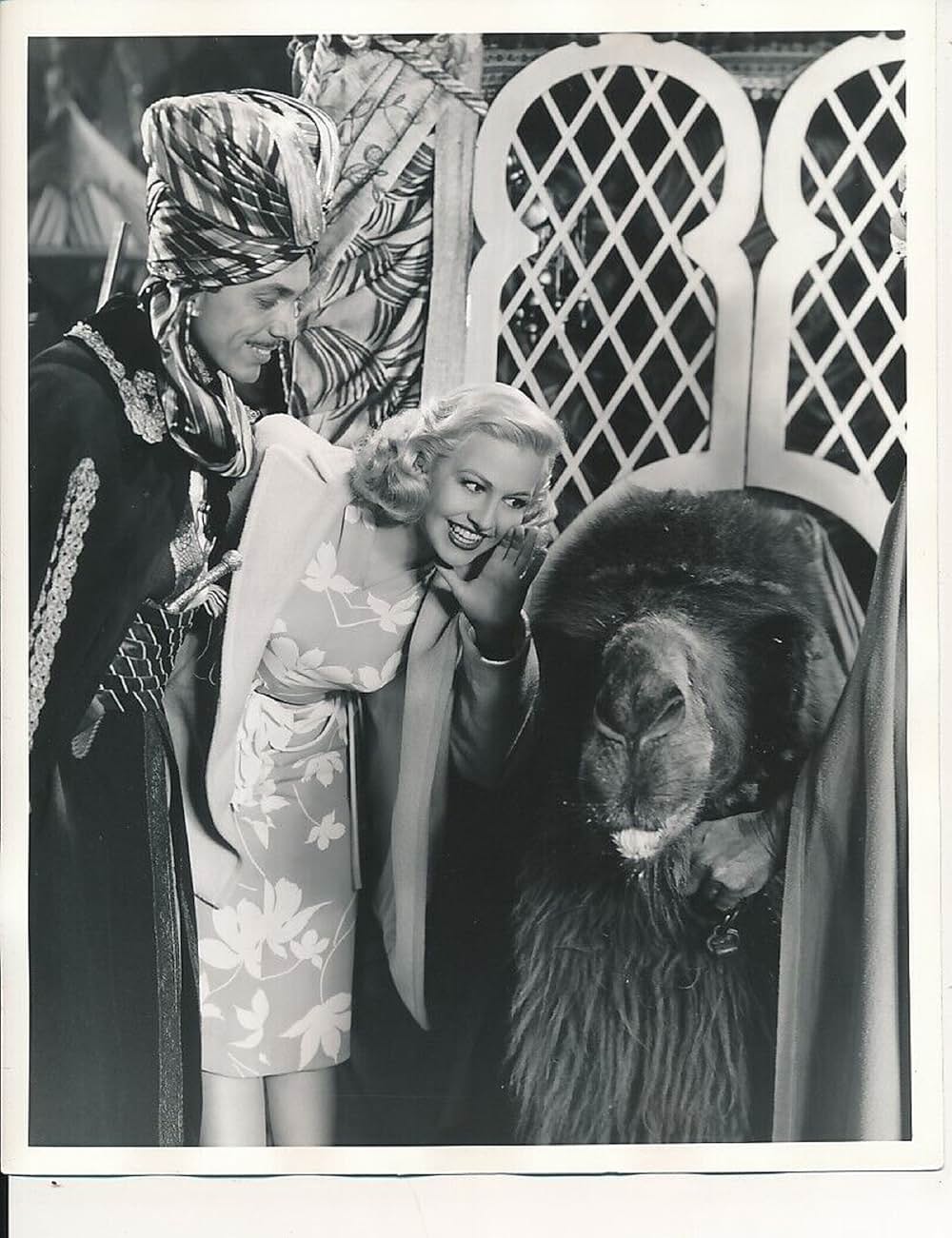 凸凹ハレムの巻の画像