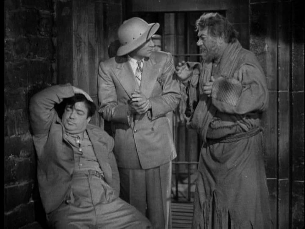 凸凹ハレムの巻の画像