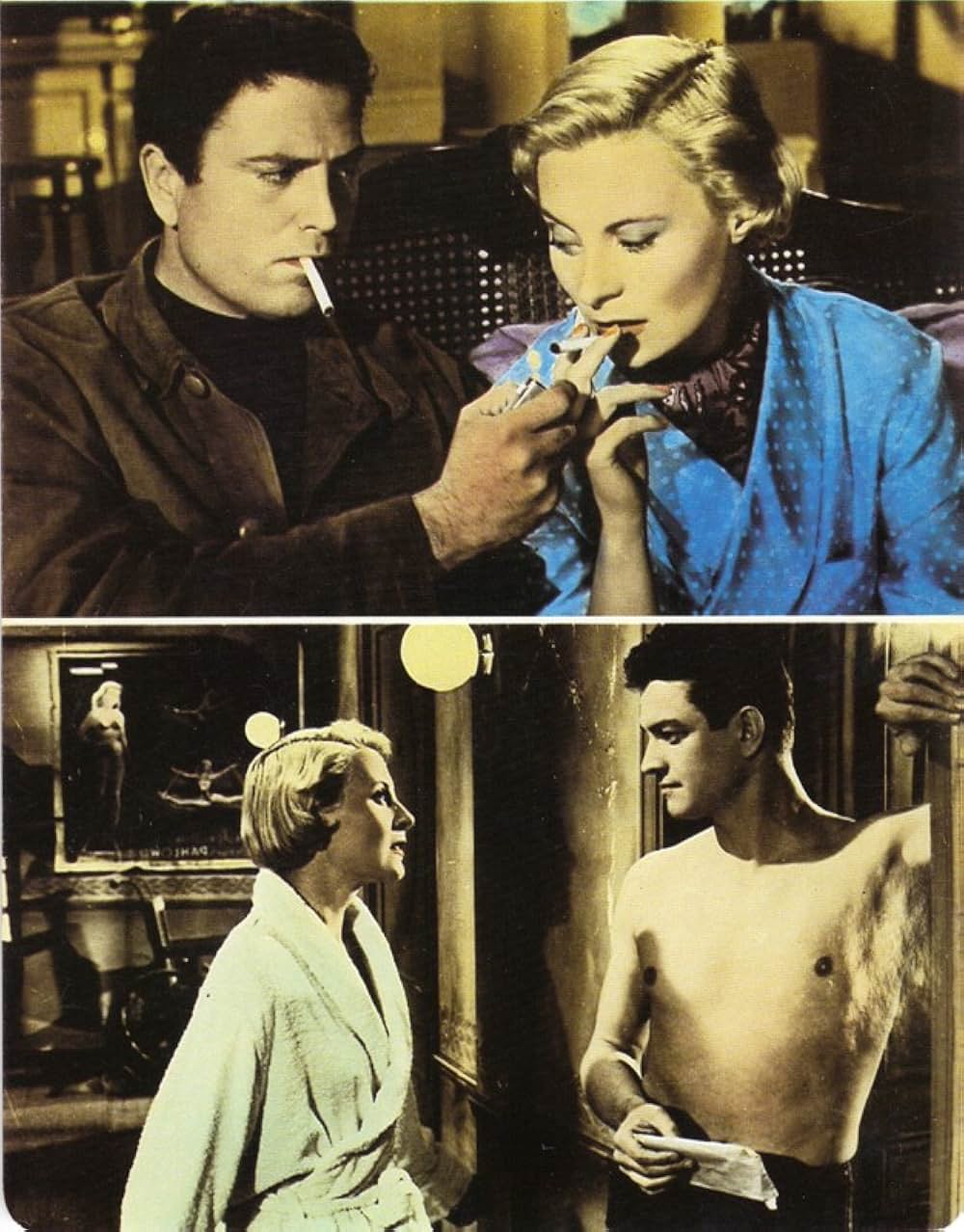 愛の迷路の画像