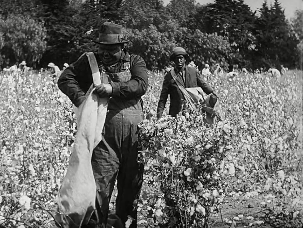 極楽二人組の画像