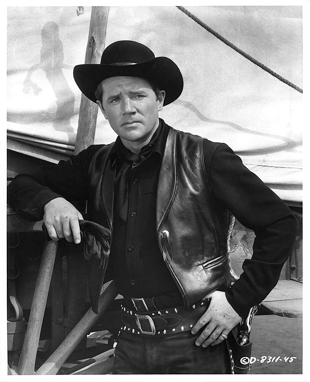 悪漢ブラックジャックの画像