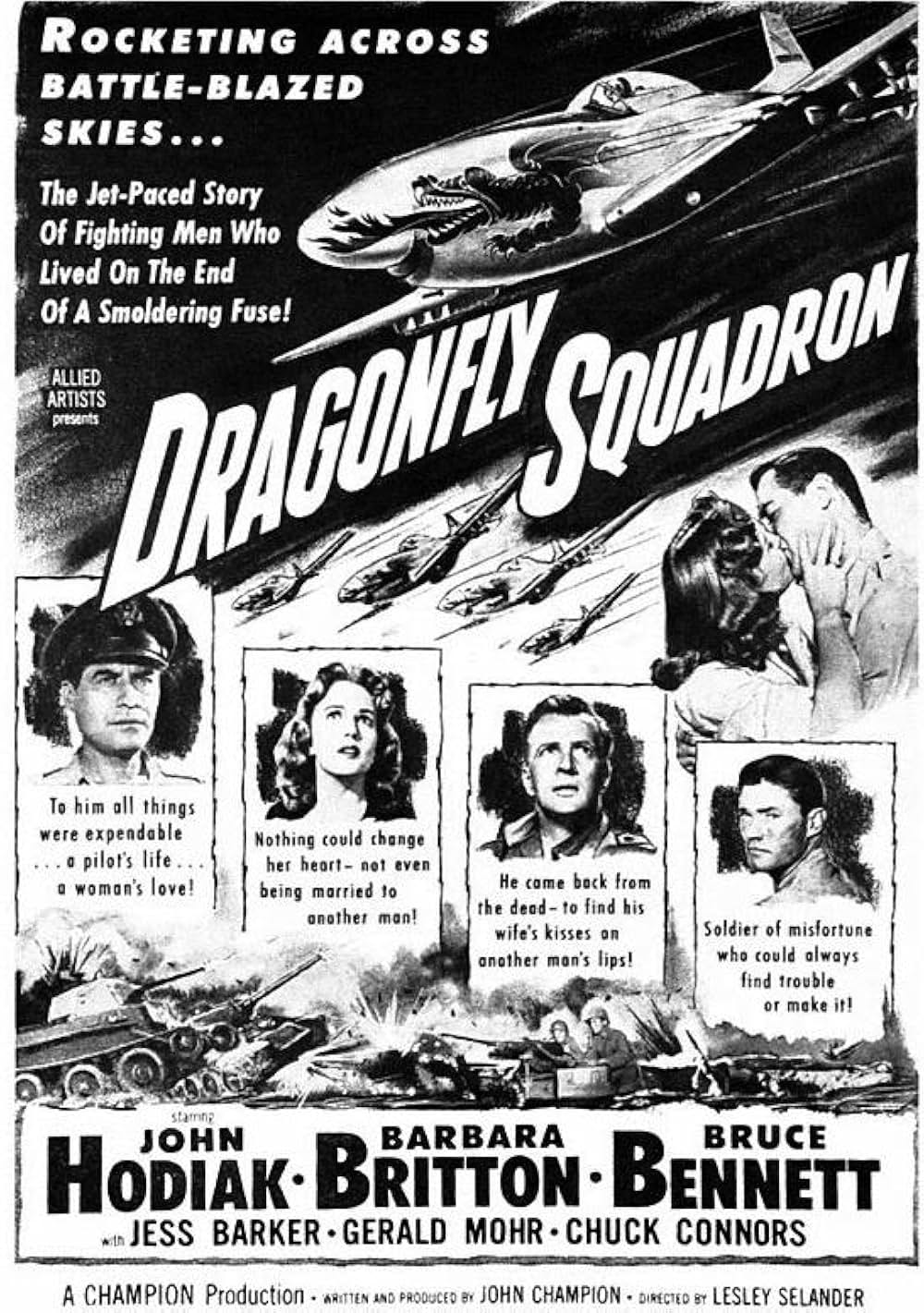 108急降下爆撃戦隊の画像