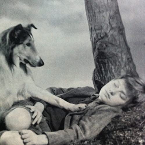 「名犬ラッシー／家路」エリザベス・テイラー & エルザ・ランチェスター & ナイジェル・ブルース & ドナルド・クリスプの画像