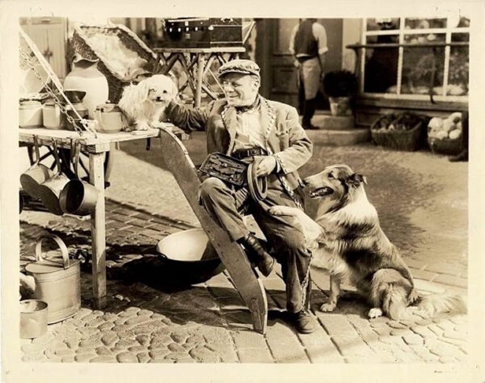 名犬ラッシー／家路の画像