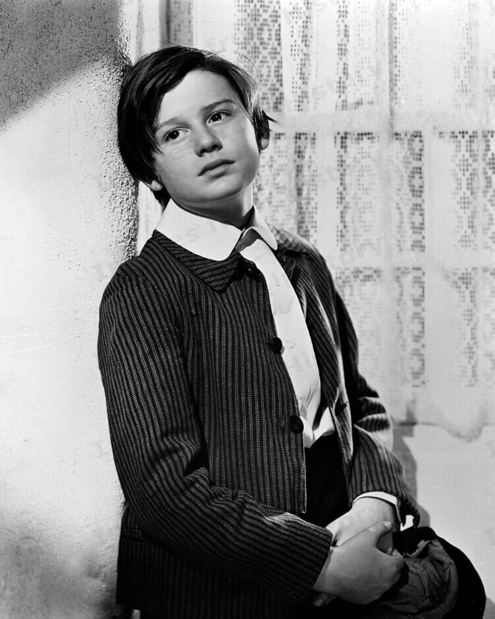 名犬ラッシー／家路の画像