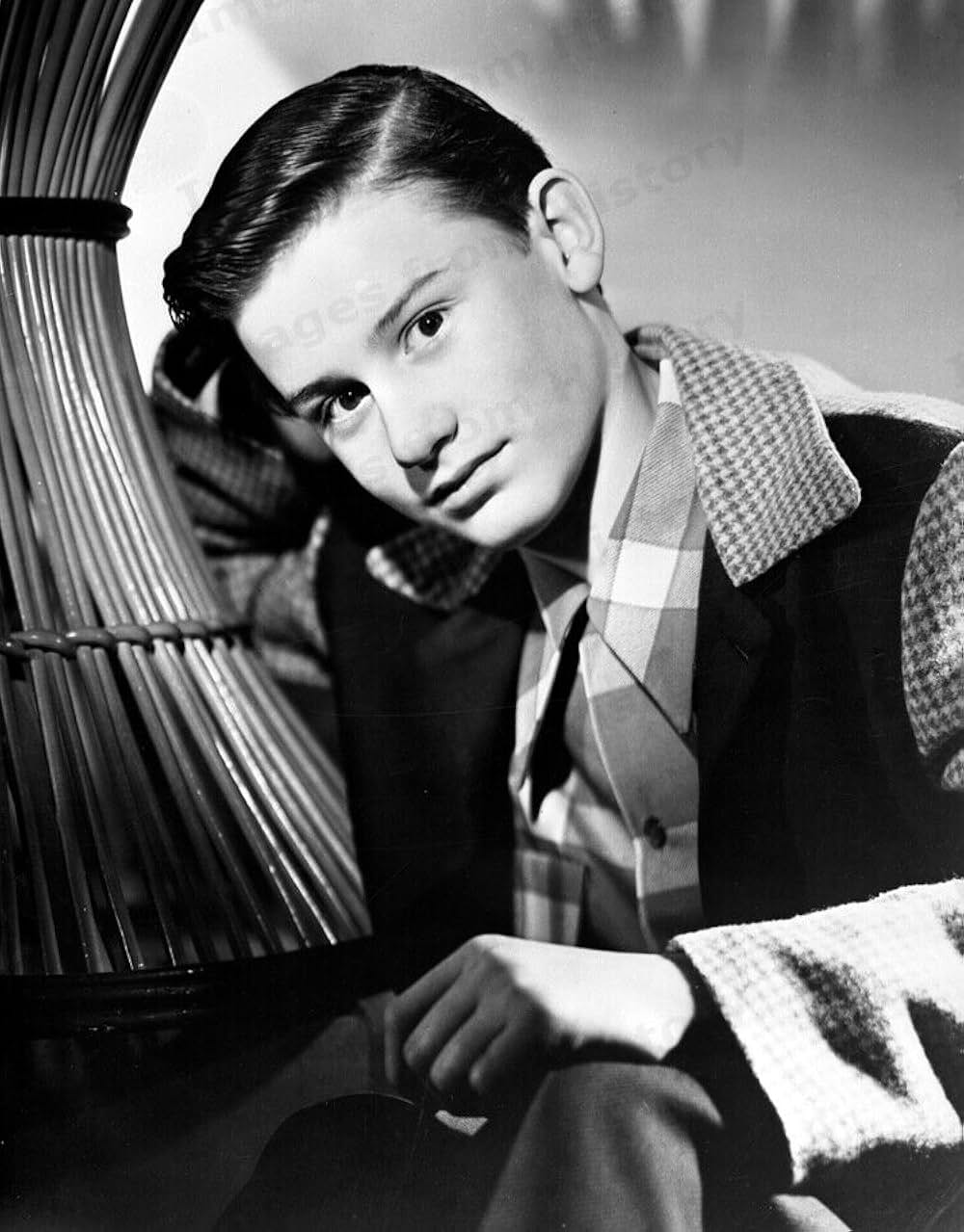 名犬ラッシー／家路の画像