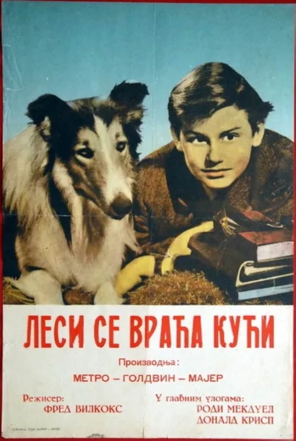 名犬ラッシー／家路の画像