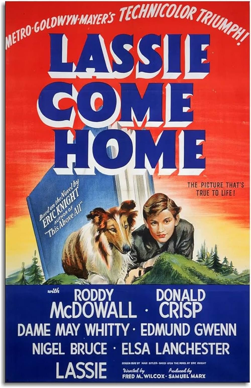 名犬ラッシー／家路の画像