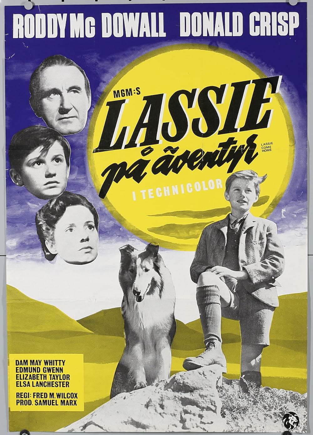 名犬ラッシー／家路の画像