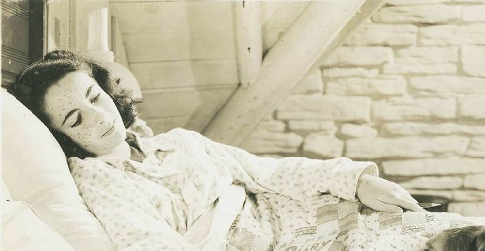 名犬ラッシー／家路の画像