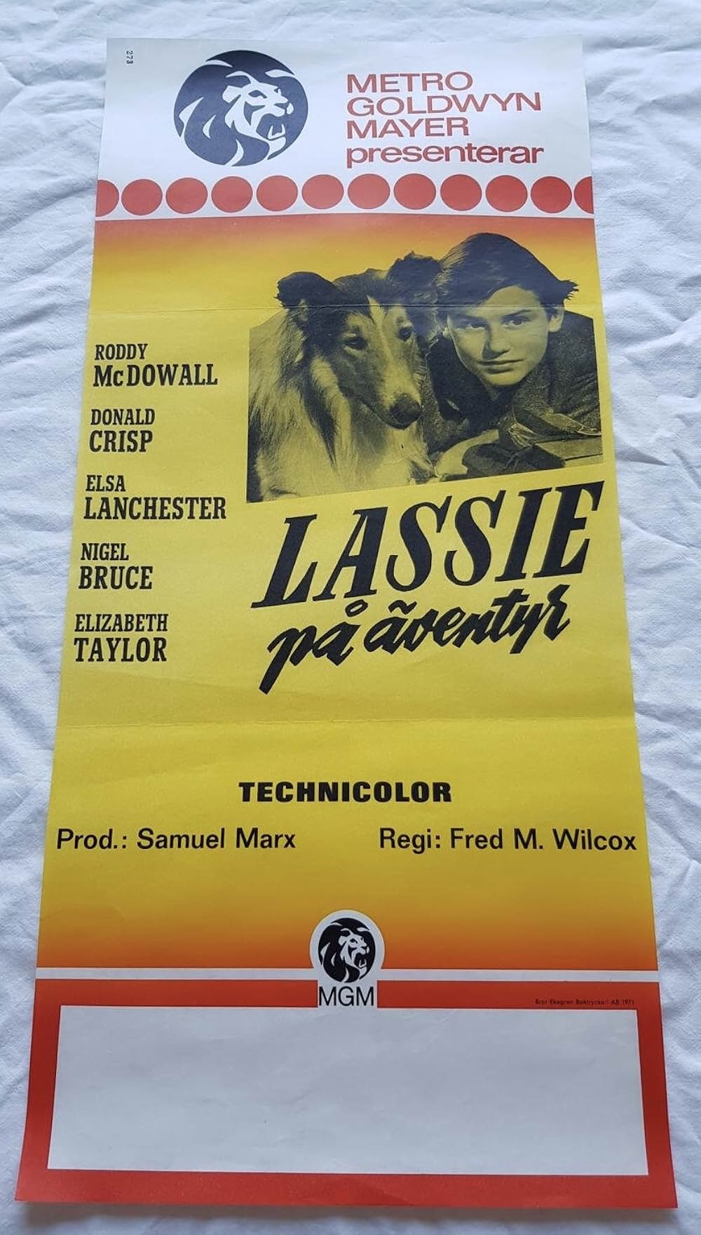 名犬ラッシー／家路の画像