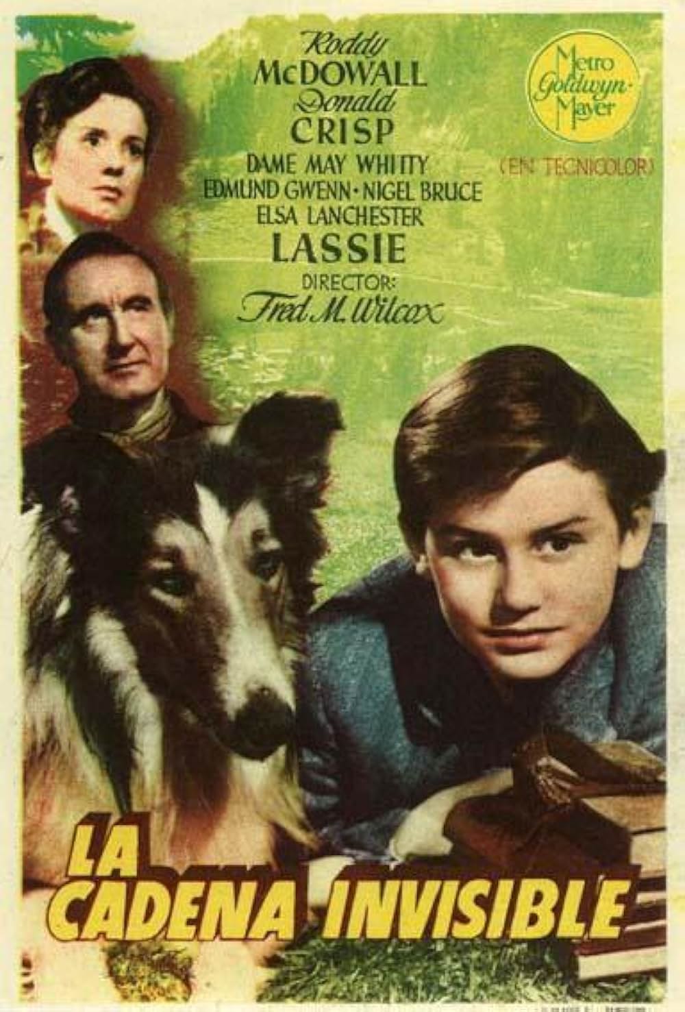 名犬ラッシー／家路の画像