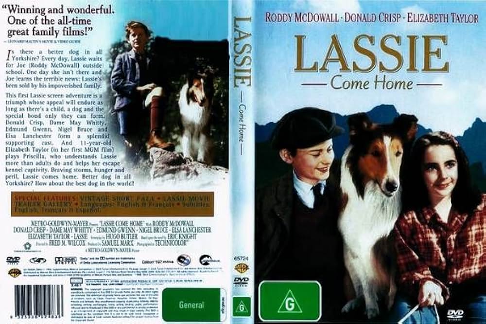 名犬ラッシー／家路の画像