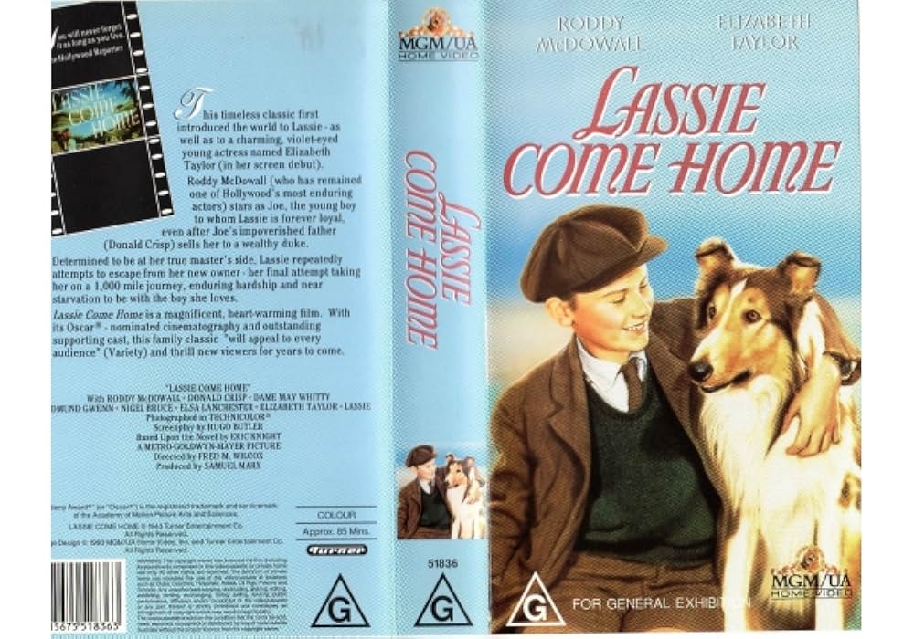 「名犬ラッシー／家路」の画像