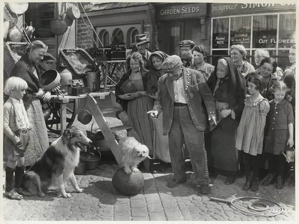 名犬ラッシー／家路の画像