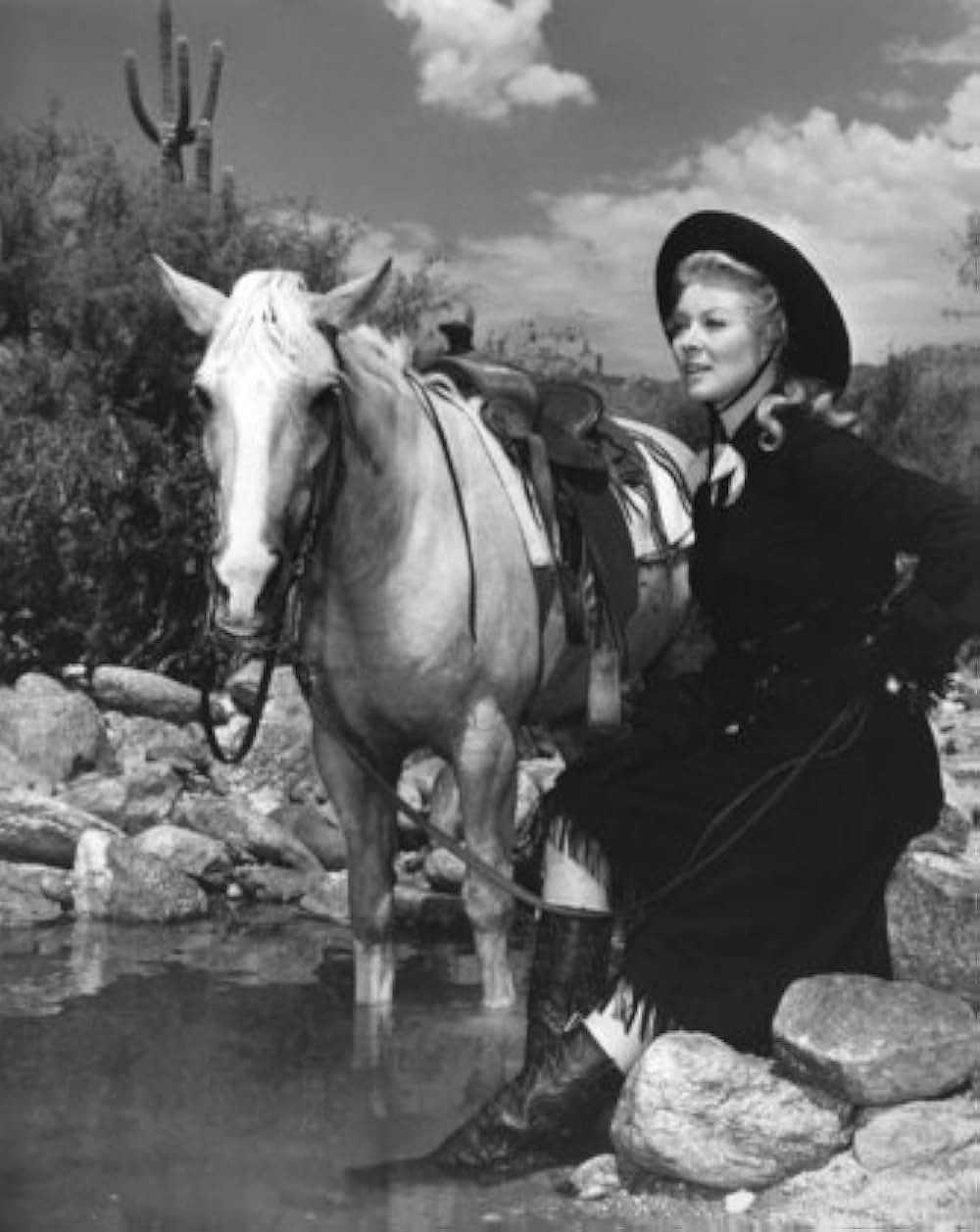 荒野の貴婦人の画像