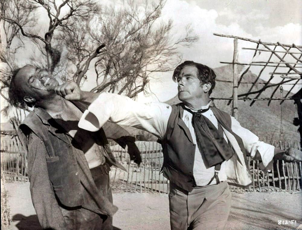 荒野の貴婦人の画像