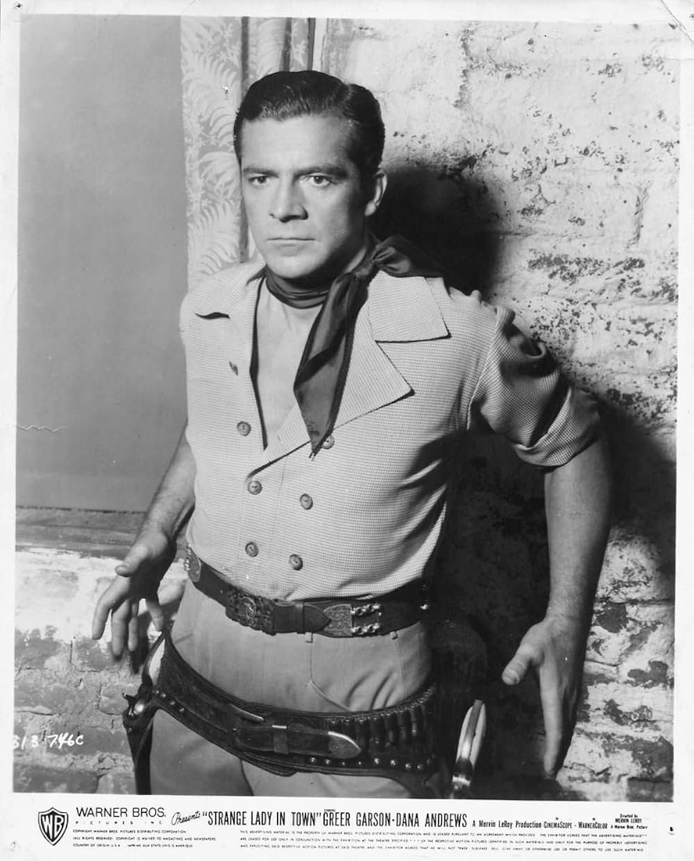 荒野の貴婦人の画像