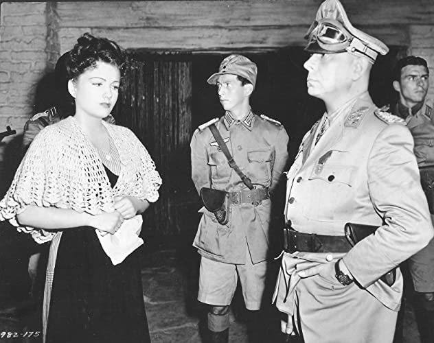 熱砂の秘密の画像