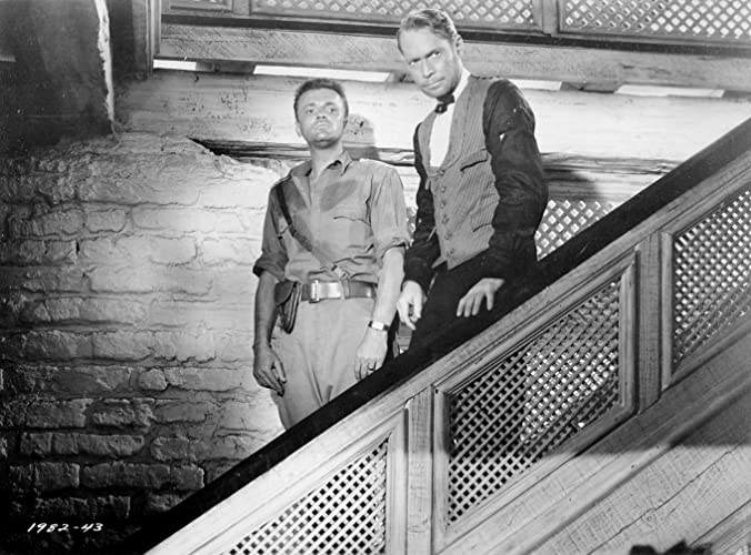 熱砂の秘密の画像