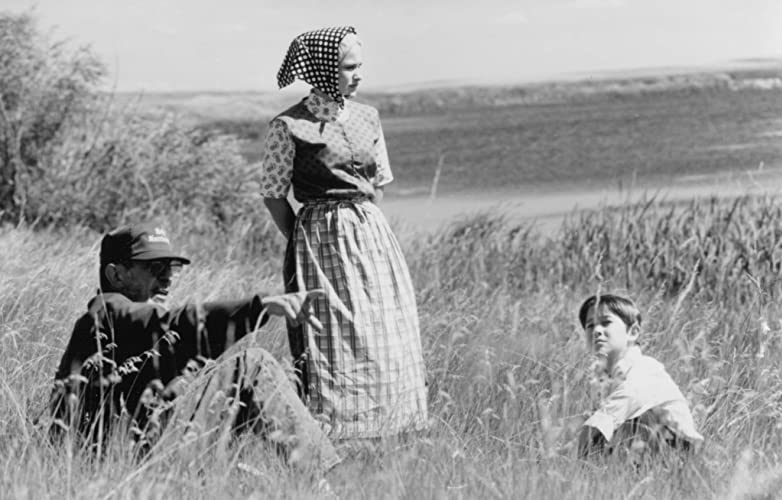 「ホーリー・ウェディング」パトリシア・アークエット & レナード・ニモイ & ジョセフ・ゴードン＝レビットの画像