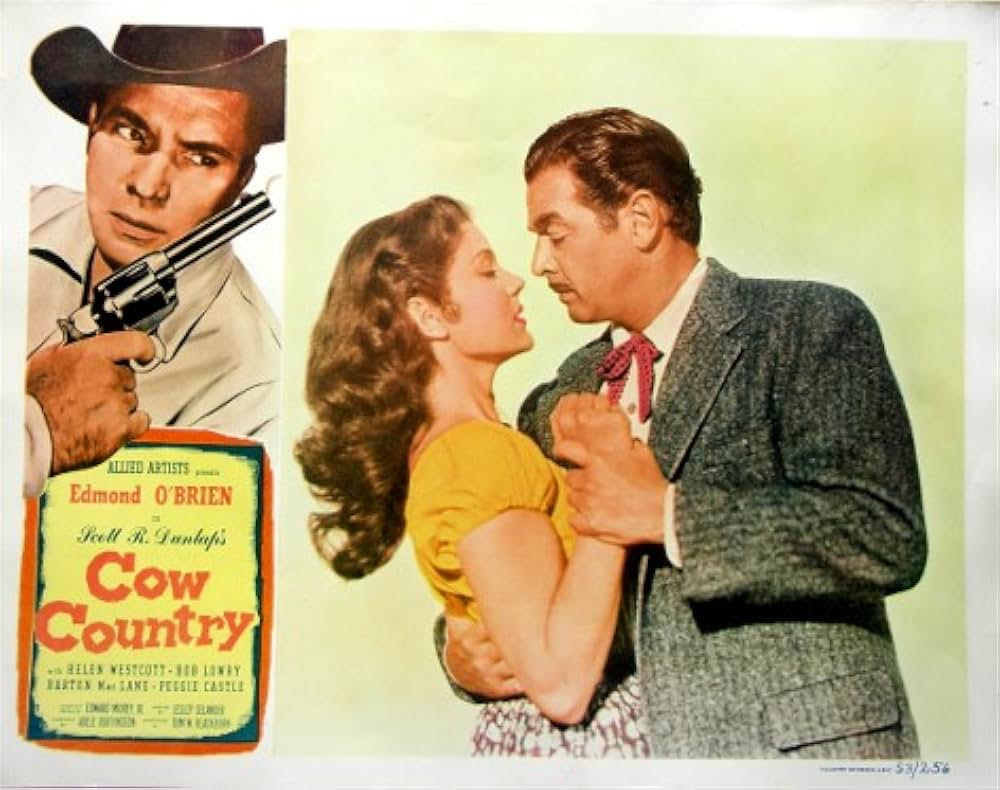 カウボーイ魂の画像