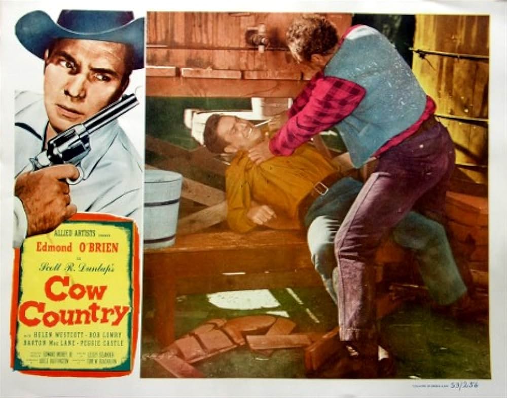 カウボーイ魂の画像