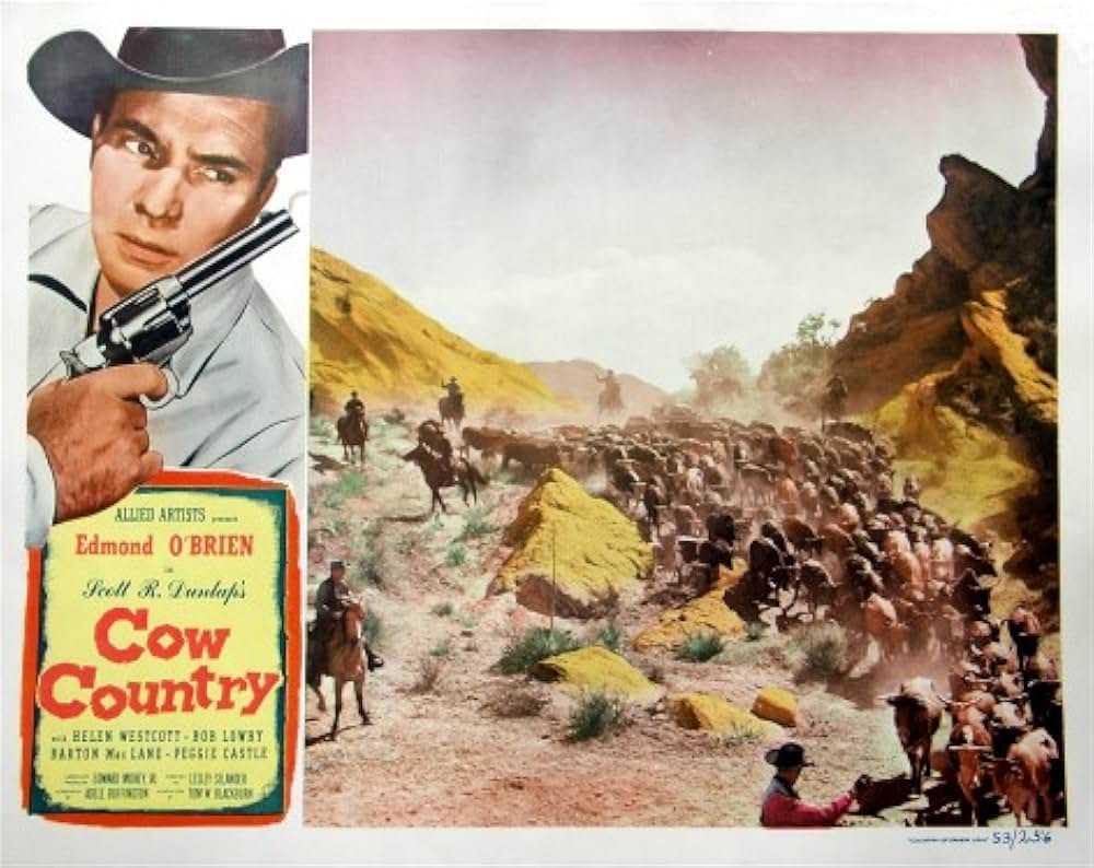 カウボーイ魂の画像