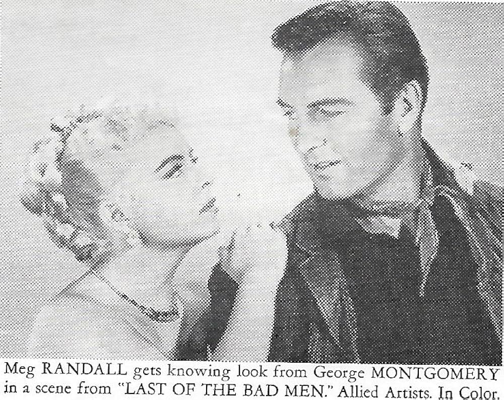 荒野の無頼漢の画像