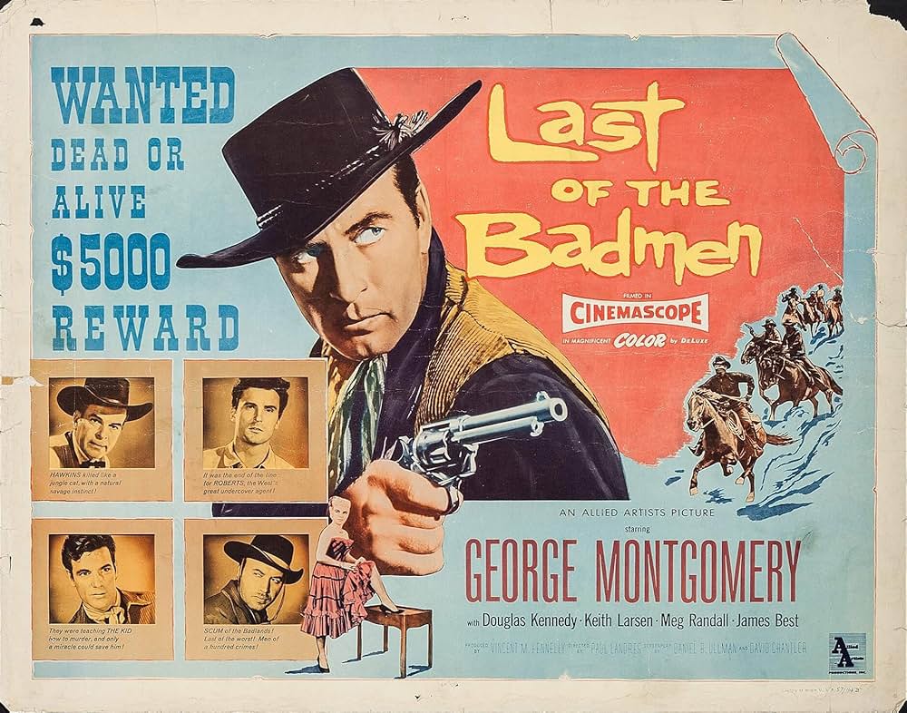 荒野の無頼漢の画像