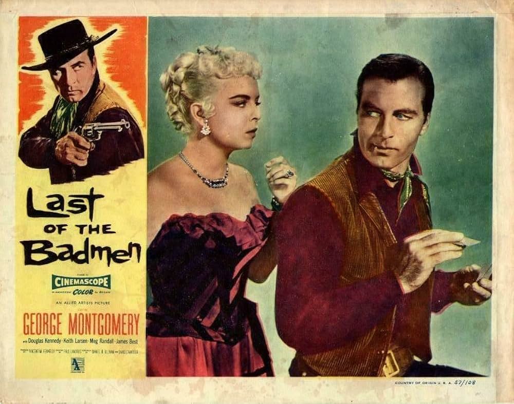 荒野の無頼漢の画像