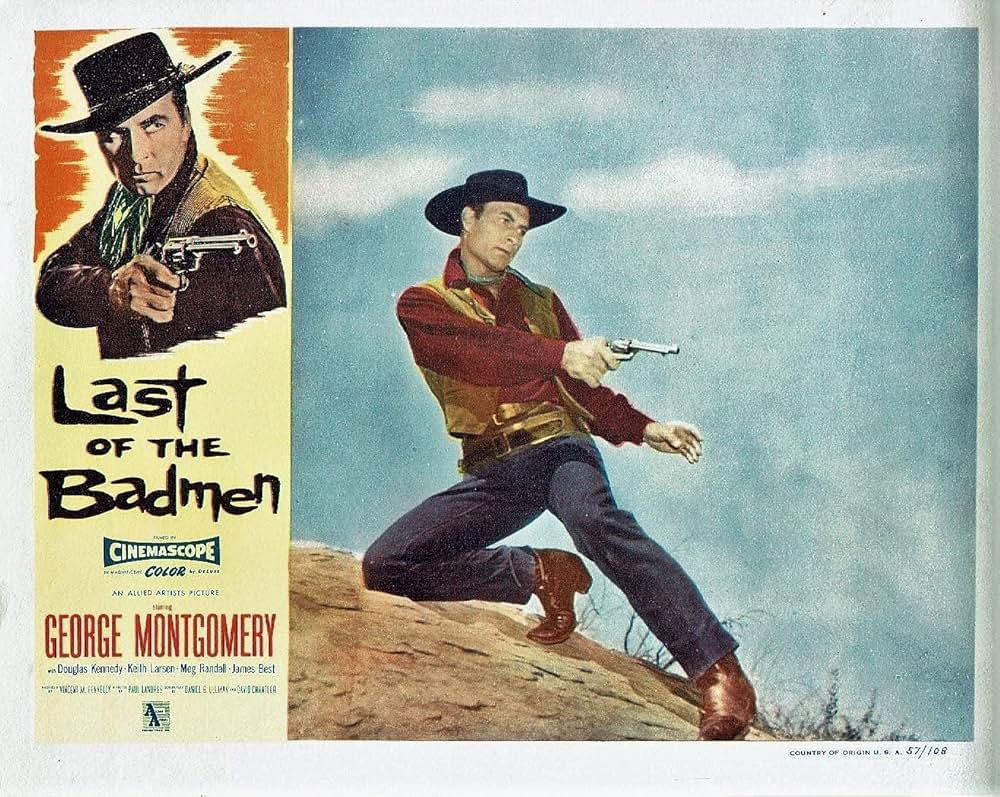 荒野の無頼漢の画像