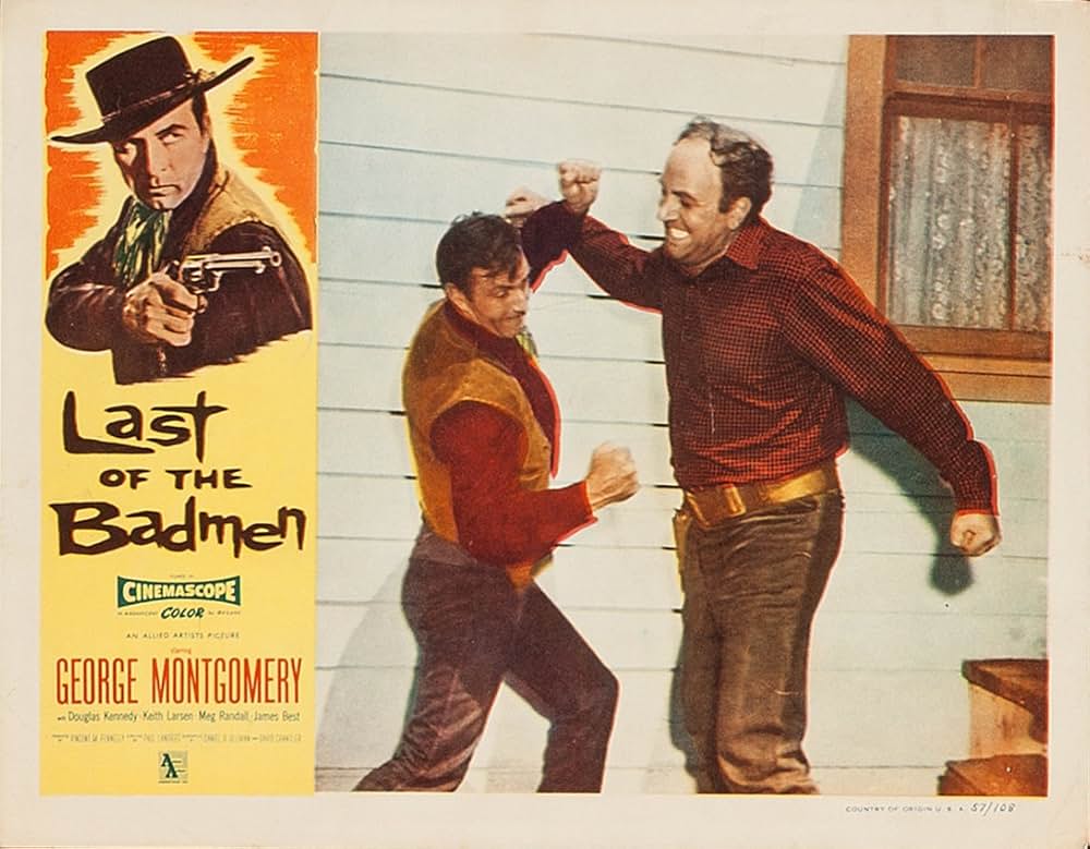 荒野の無頼漢の画像