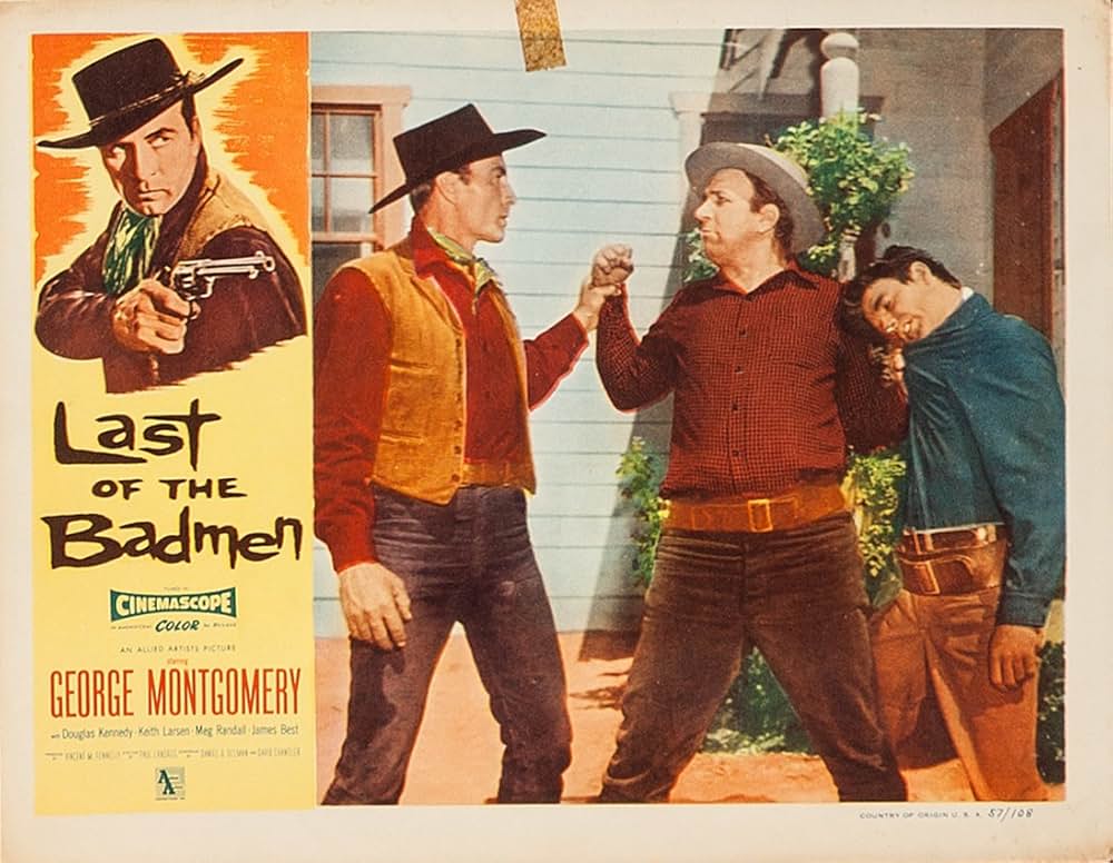 荒野の無頼漢の画像