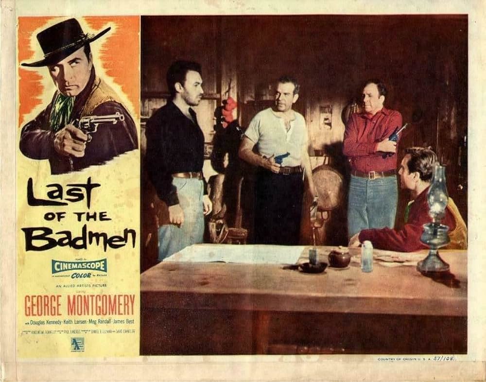 荒野の無頼漢の画像