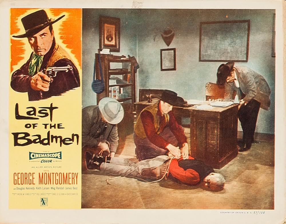 荒野の無頼漢の画像