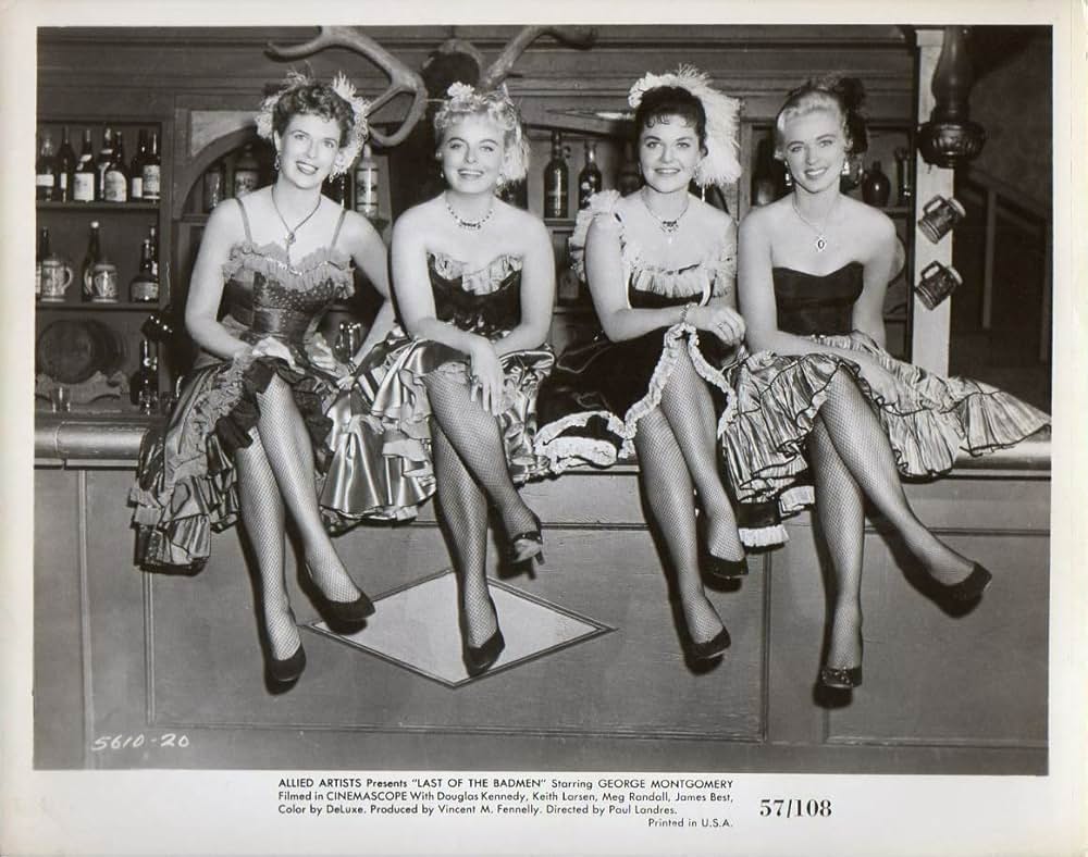 荒野の無頼漢の画像