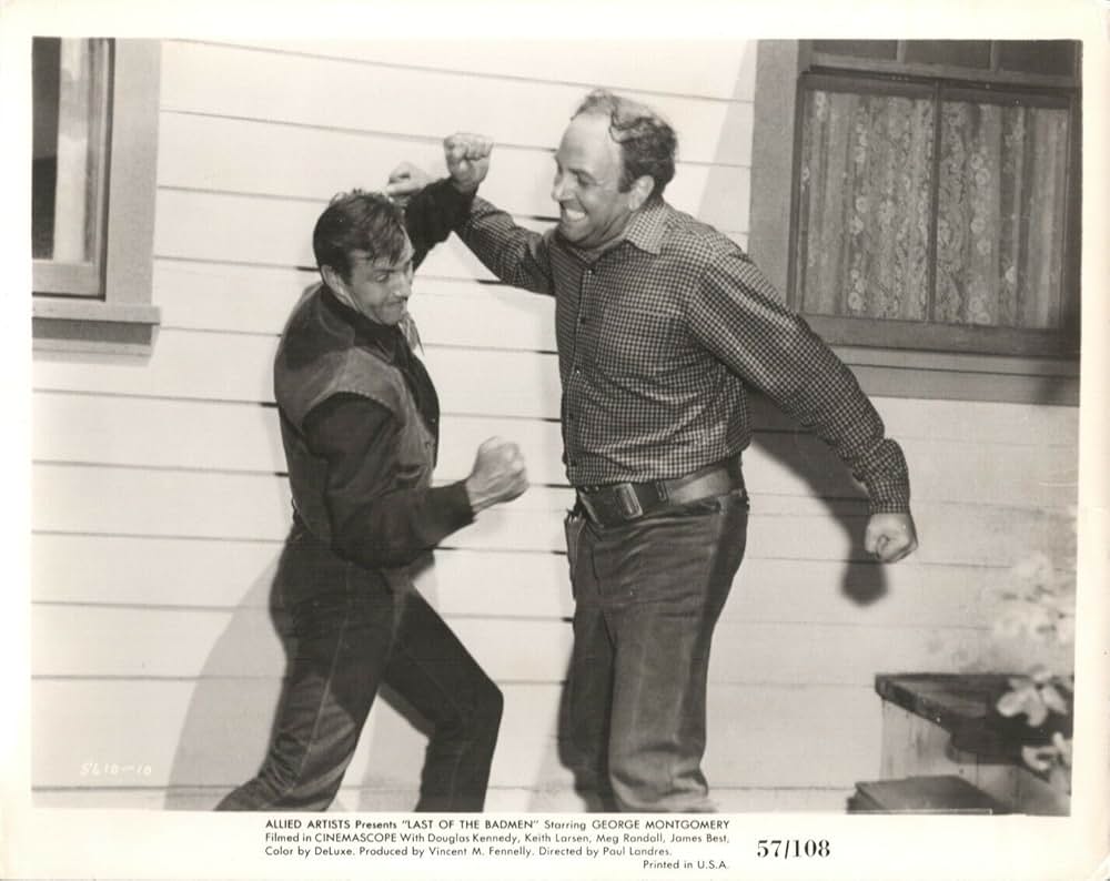 荒野の無頼漢の画像